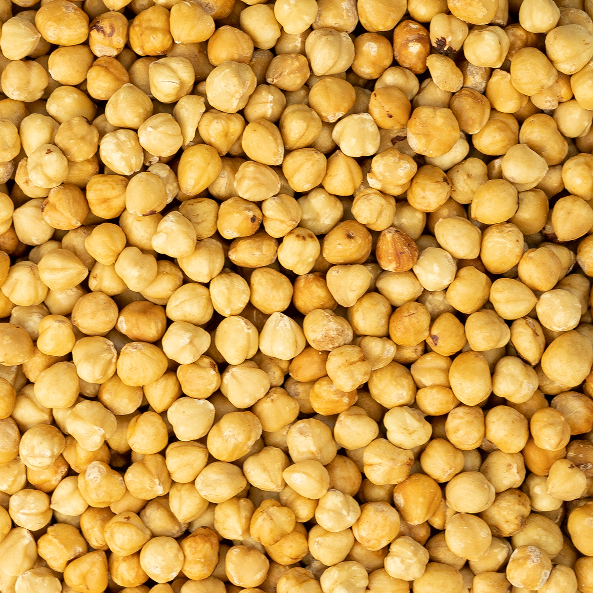 hazelnoten wit gebrand ongezouten 450 gram