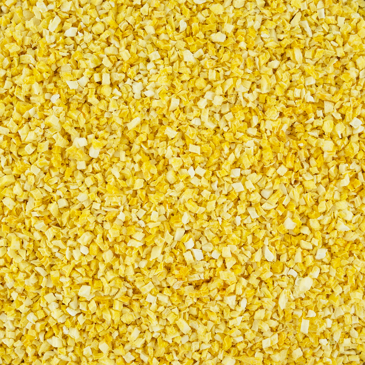 gevriesdroogde mango crunch 50 gram