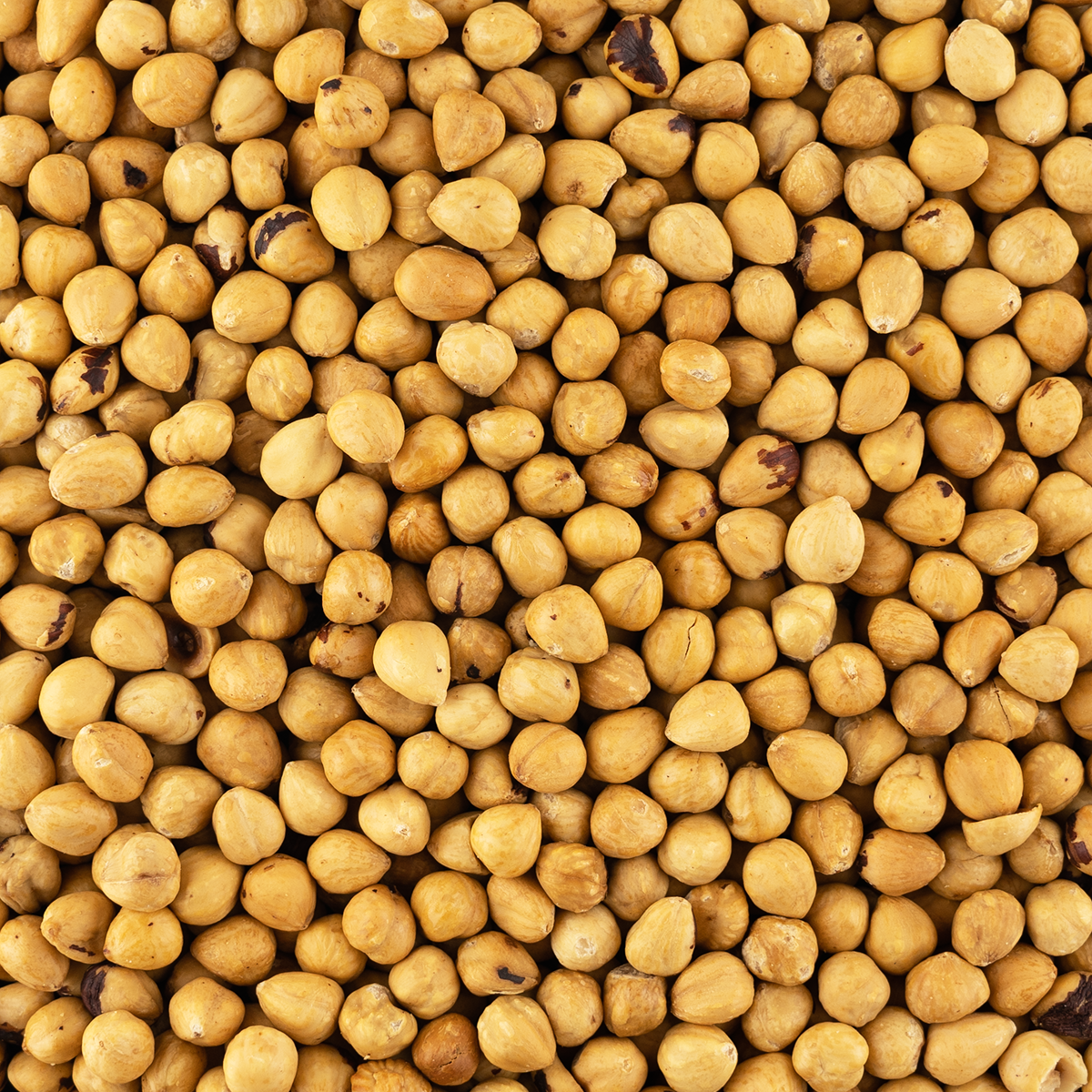 hazelnoten wit gebrand ongezouten (bio) 450 gram