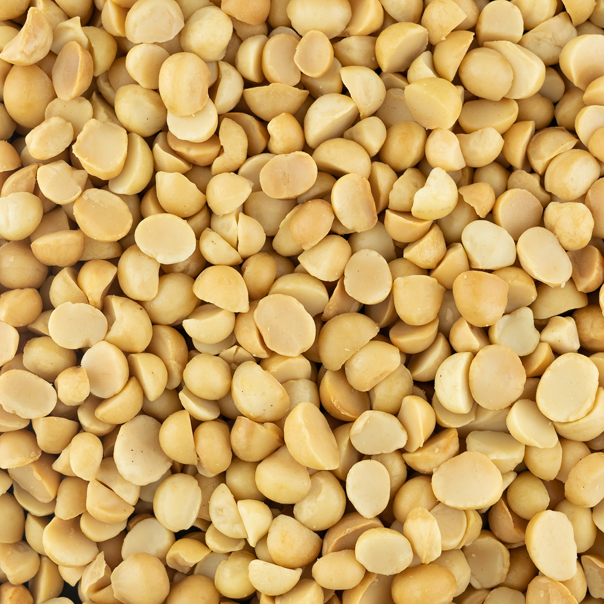 macadamia noten gebrand ongezouten (bio) 450 gram