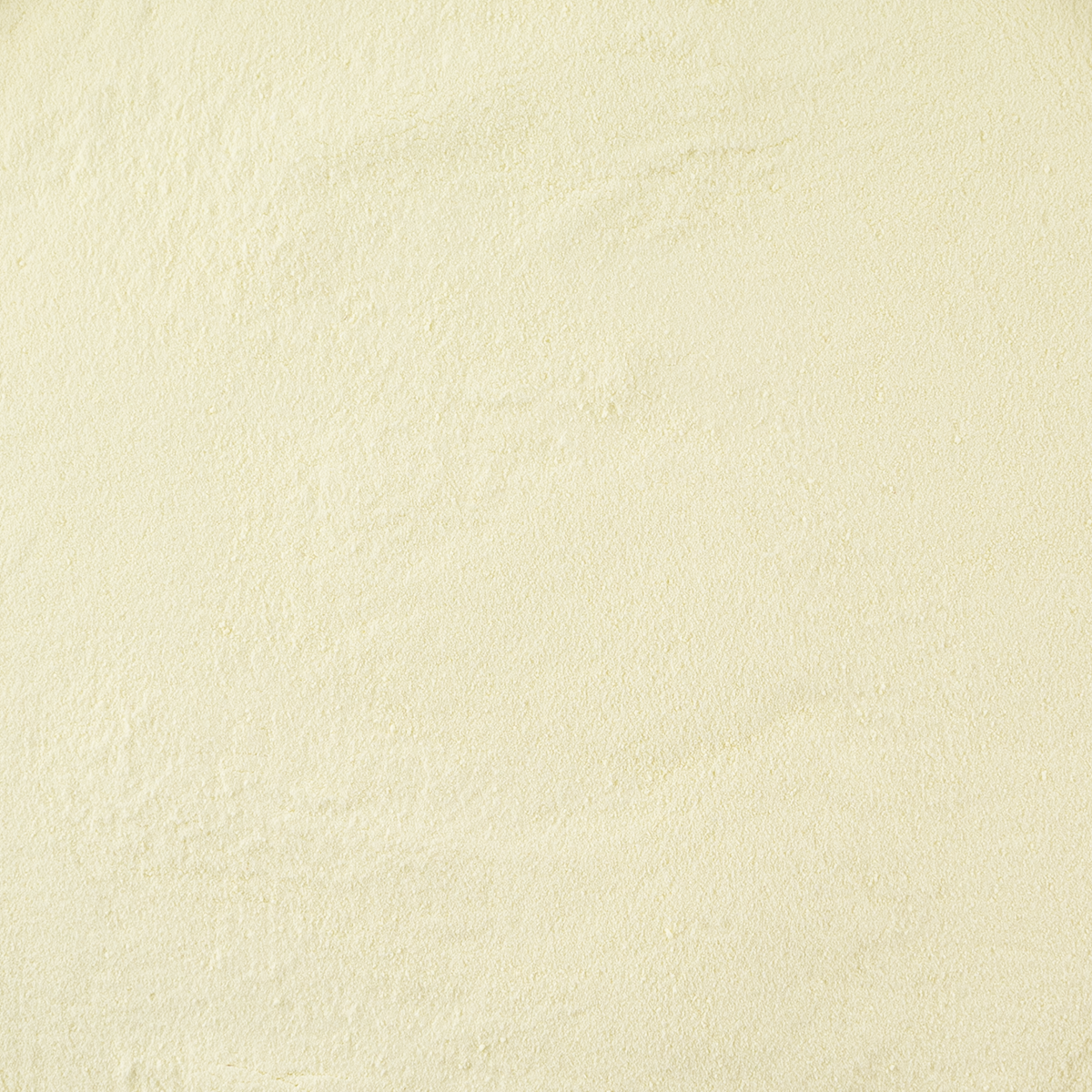Melkpoeder mager (bio) 400 gram