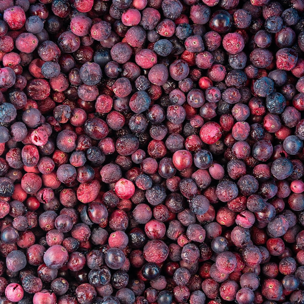 Gevriesdroogde cranberry's heel 25 gram