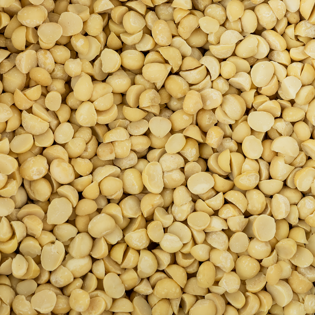 Macadamia noten ongebrand (bio) 1000 gram