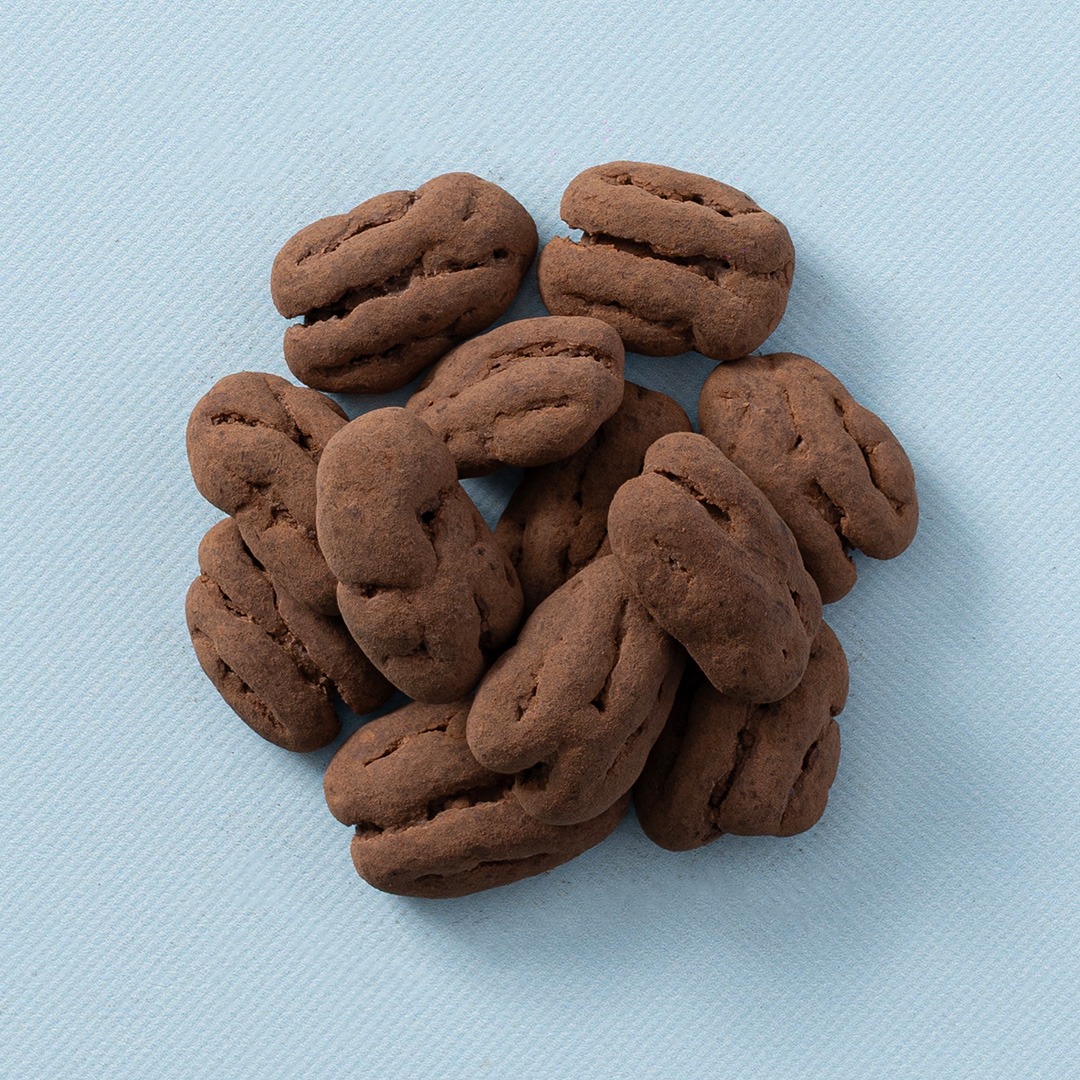 chocolade pecan / truffel (bio) 180 gram