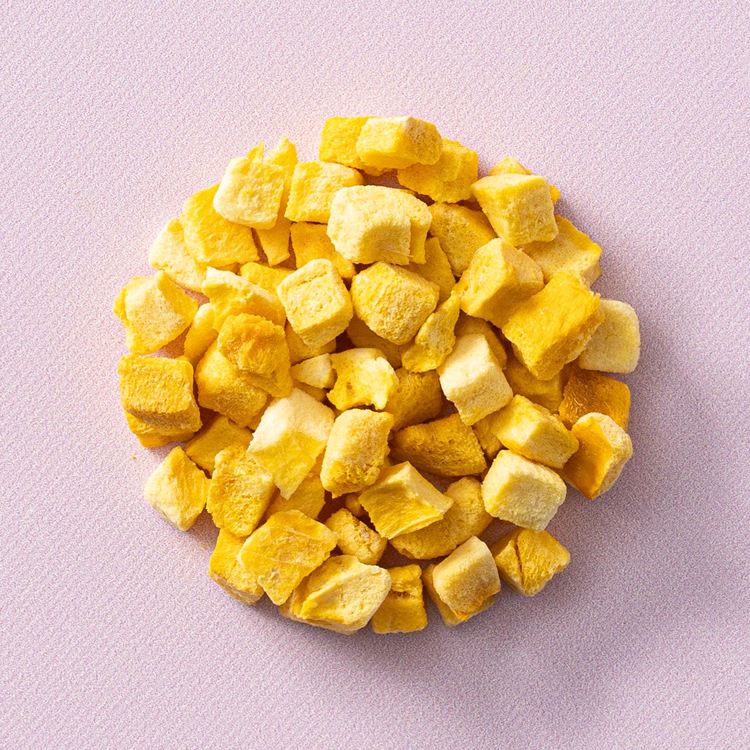 Gevriesdroogde mango stukjes 40 gram