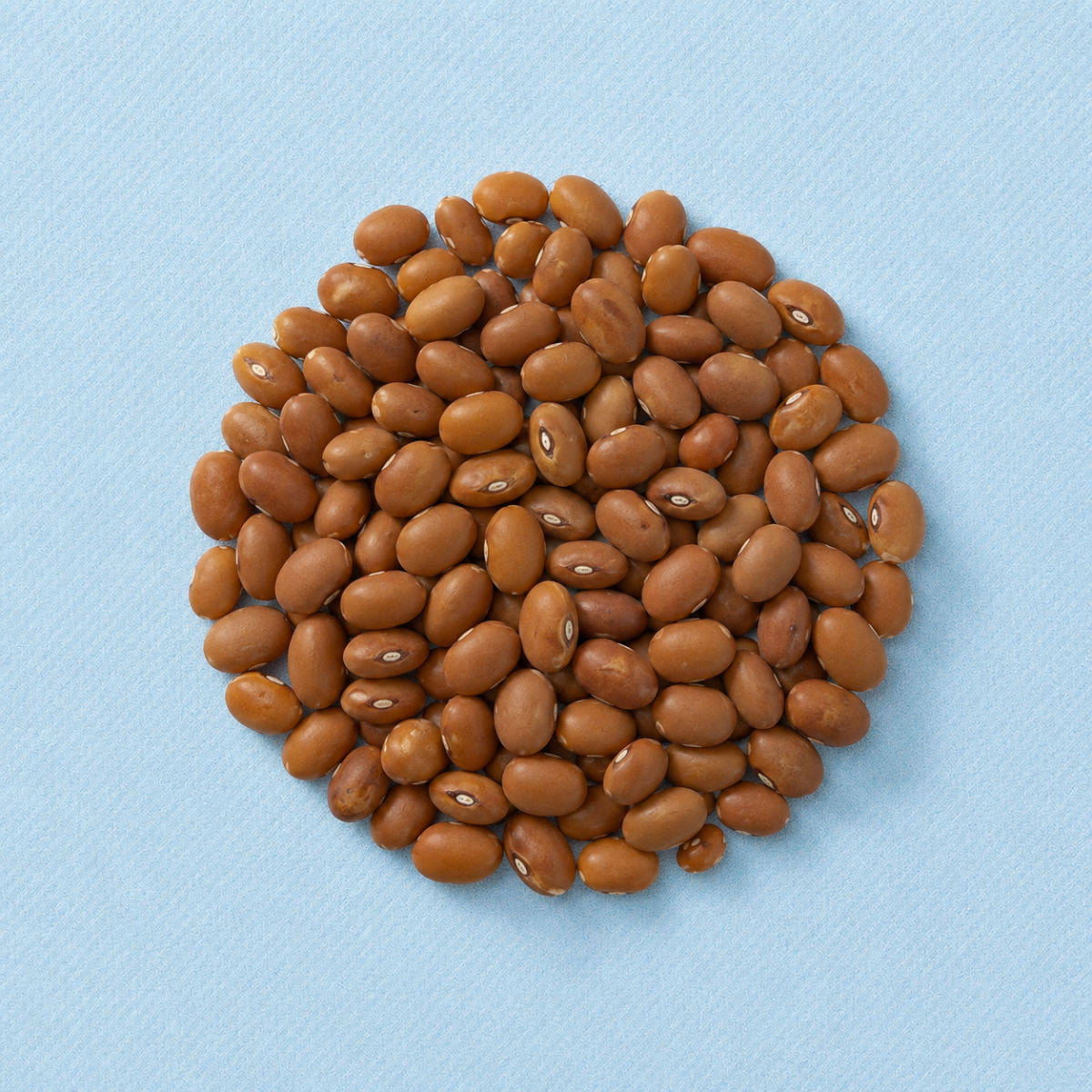 Bruine bonen (bio) 400 gram