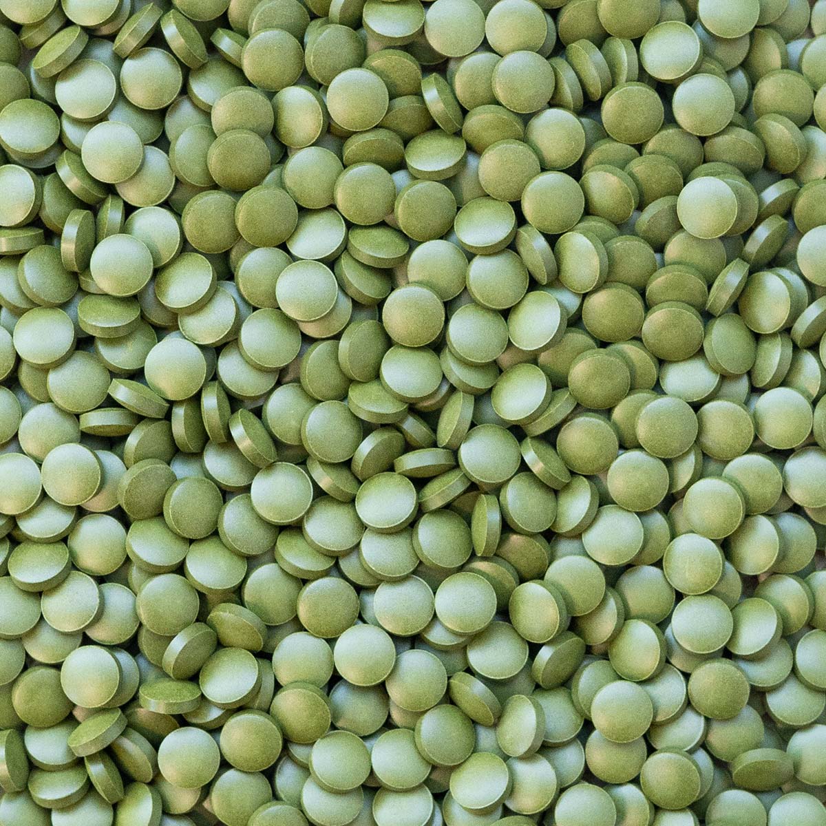 Chlorella tabletten (bio) 150 gram