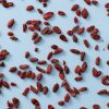 Goji bessen los