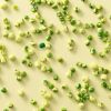 Wasabi erwten verspreid over lichtgele achtergrond