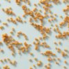 Verspreide mini karamelblokjes op een lichtblauwe achtergrond