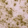 Biologisch hennep-eiwitpoeder verspreid over een roze achtergrond