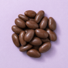 Chocolade paranoten melk