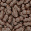 Chocolade doppinda's puur