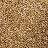 Honey en Salt Roasted Sunflower Kernels