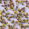Pistachenoten gepeld ongebrand