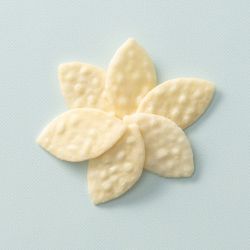 Konoha salad crackers in bloemvorm op een lichtblauwe achtergrond