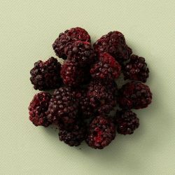 Gevriesdroogde Bramen
