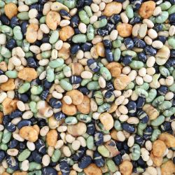 Bonen Snackmix
