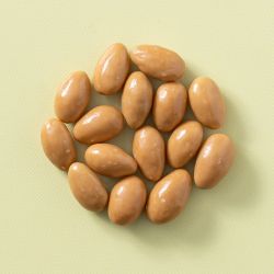 Chocolade amandelen karamel zeezout