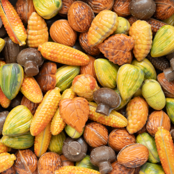 herfst bonbons