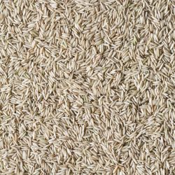 Basmati rijst volkoren (Biologische)