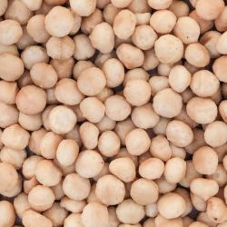 Ongezouten macadamia noten