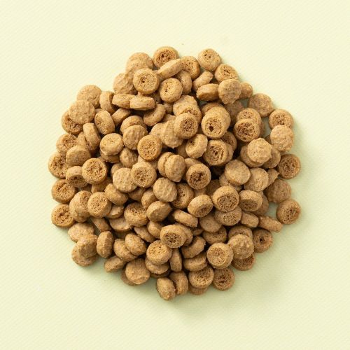 Koekjes strooisel vanille Koekjes strooisel vanille