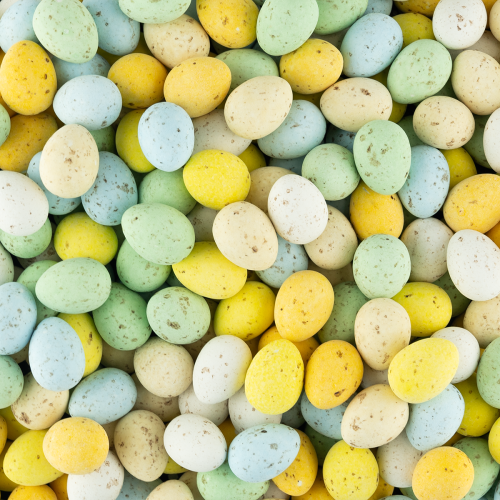 Chocolade kievitseieren Chocolade kievitseieren