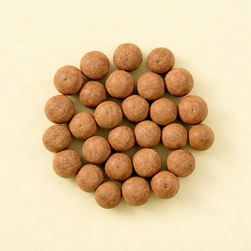 Crunchy choco's tiramisu