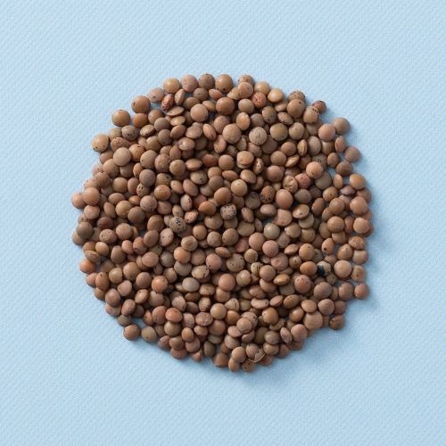 Bruine linzen (bio) Bruine linzen (bio)