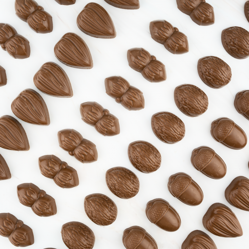 Chocolade noten melk (massief) 