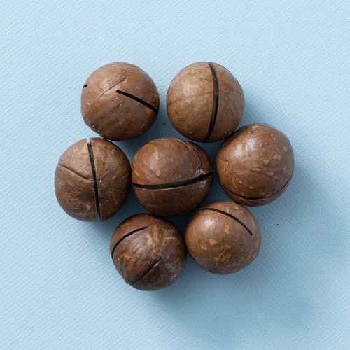 Macadamia noten in dop geroosterd gezouten