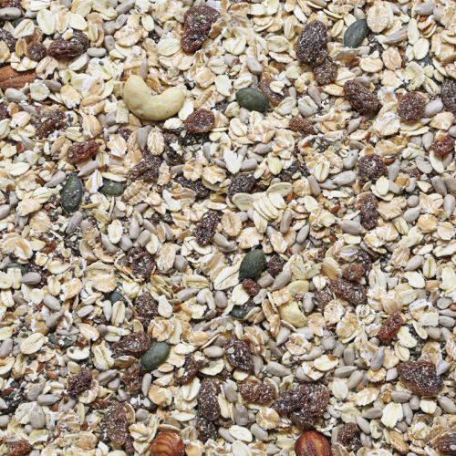 Muesli mix zaden (bio)