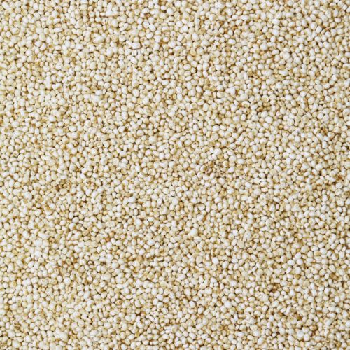 Biologische quinoa gepoft