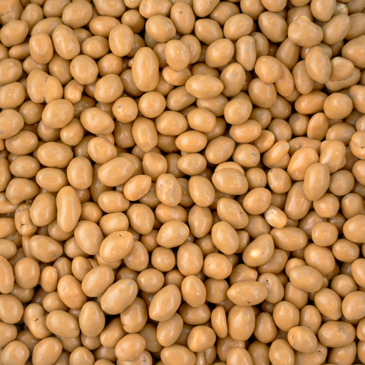 Chocolade pinda&apos;s karamel zeezout 5 kg doos