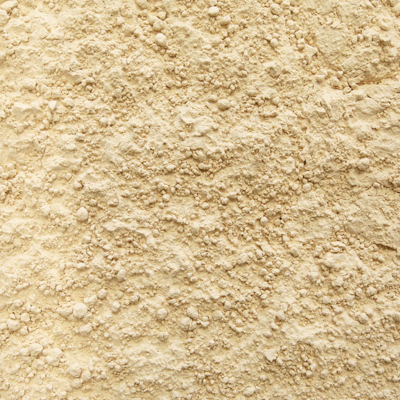 Erwten eiwit poeder (bio) 700 gram