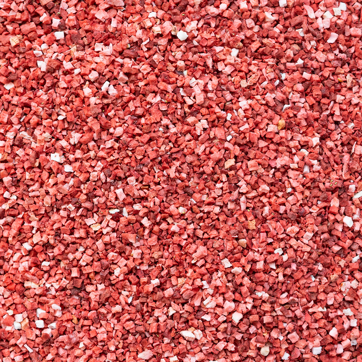gevriesdroogde aardbeien crunch 60 gram