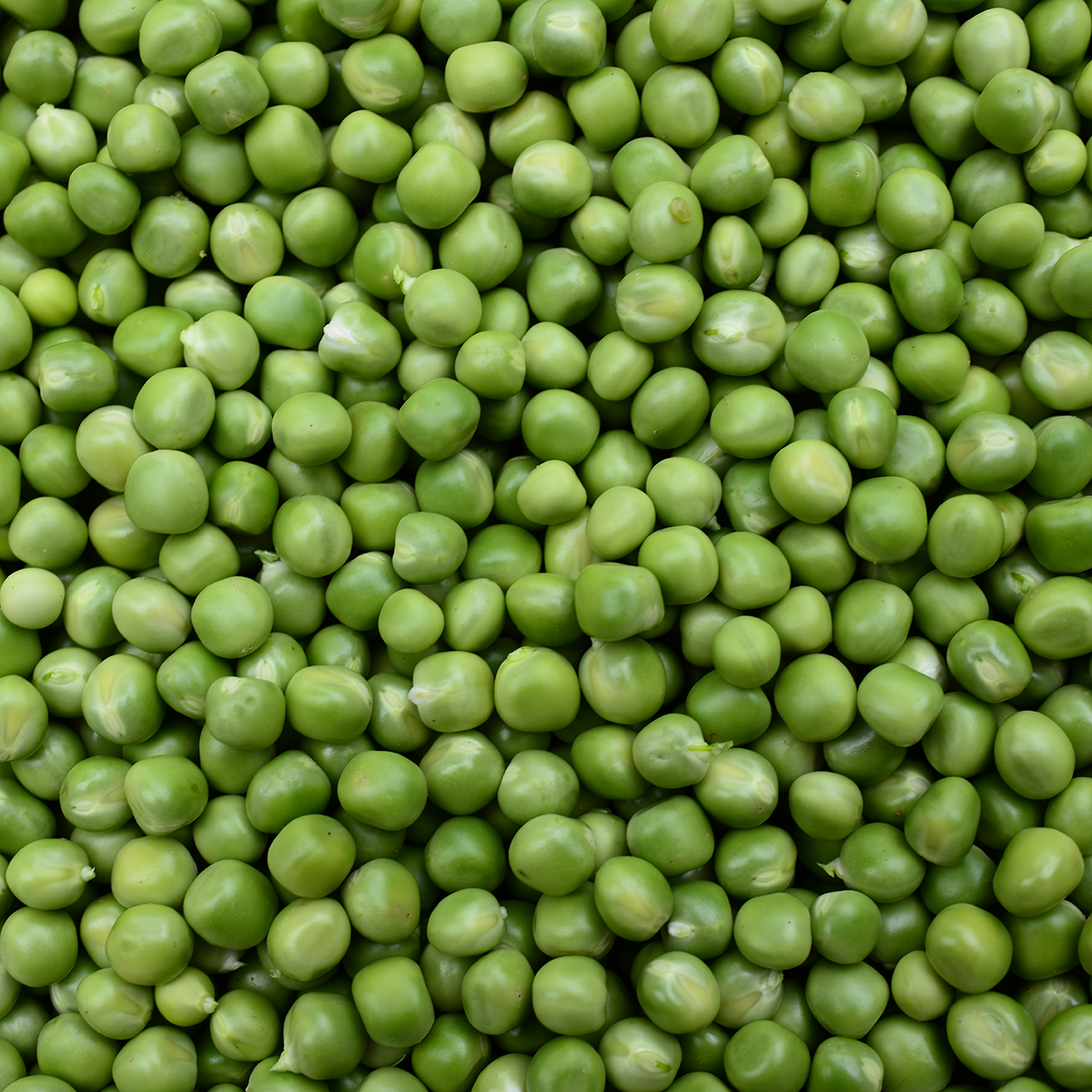 Groene erwten (bio) 5 kg zak