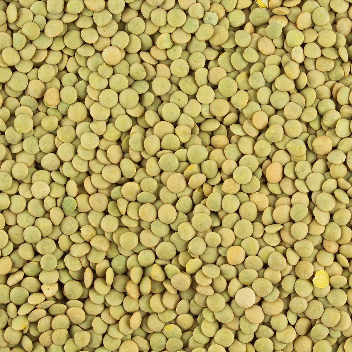 Groene linzen (bio) 5 kg baal