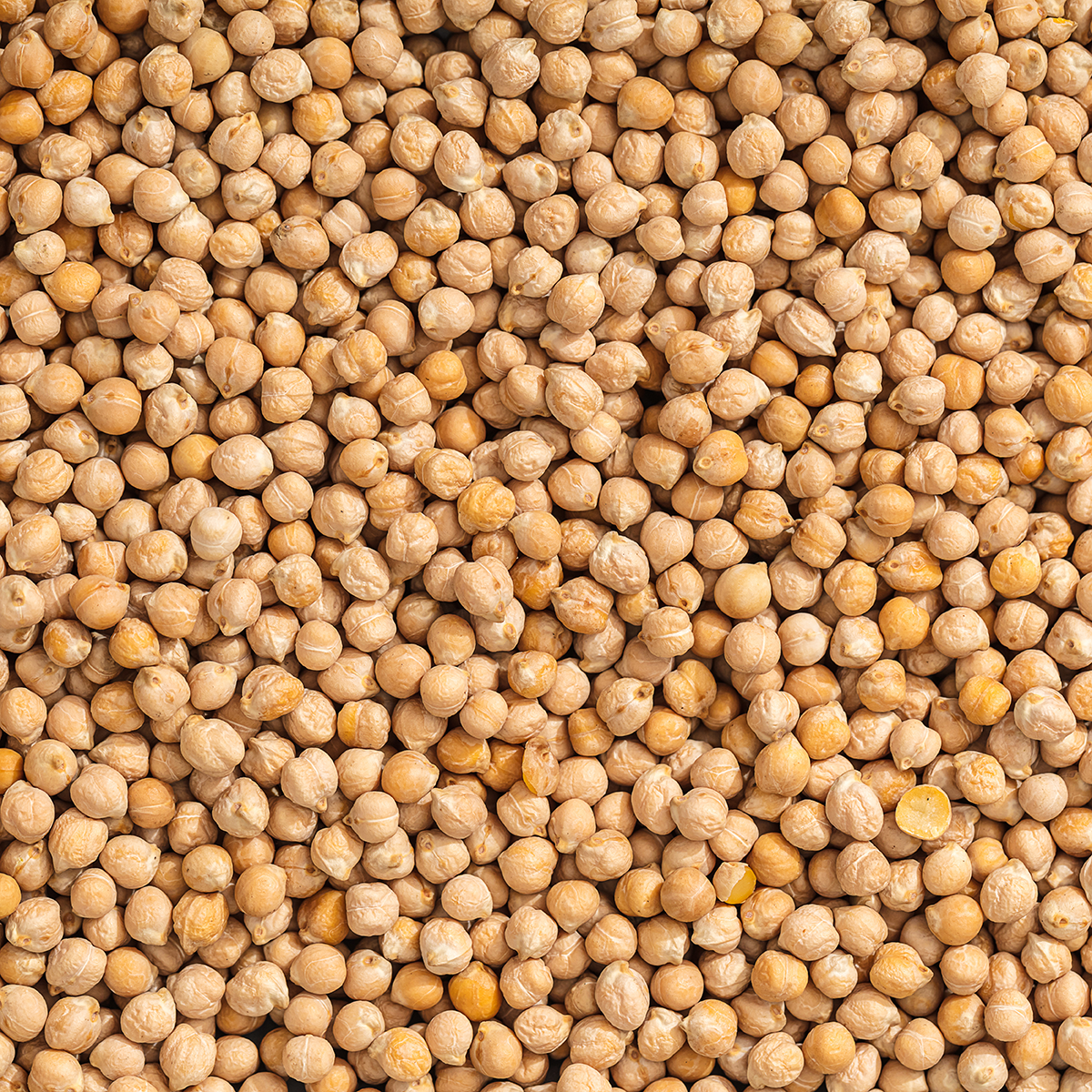 Kikkererwten (bio) 700 gram