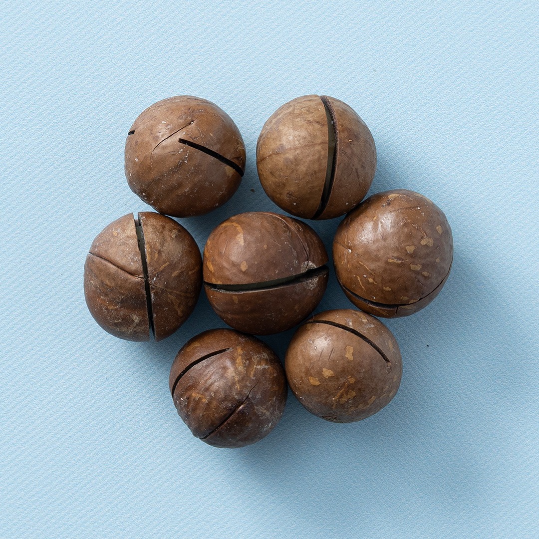 Macadamia noten in dop geroosterd & gezouten 400 gram