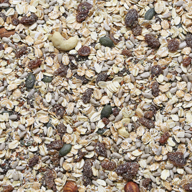 Muesli mix zaden (bio) 500 gram