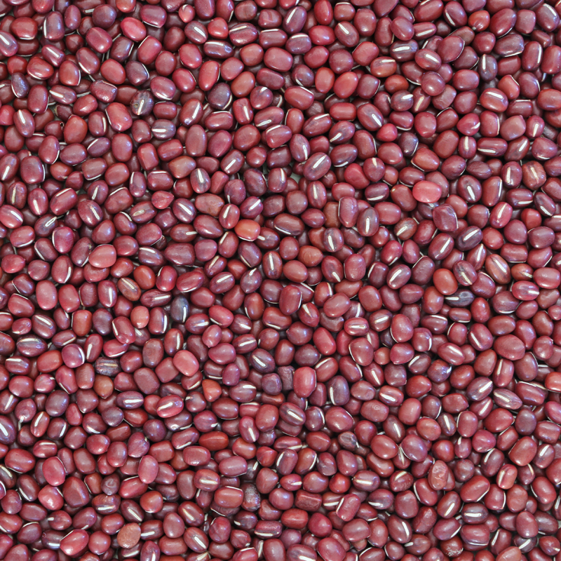 Aduki bonen (bio) 5 kg zak