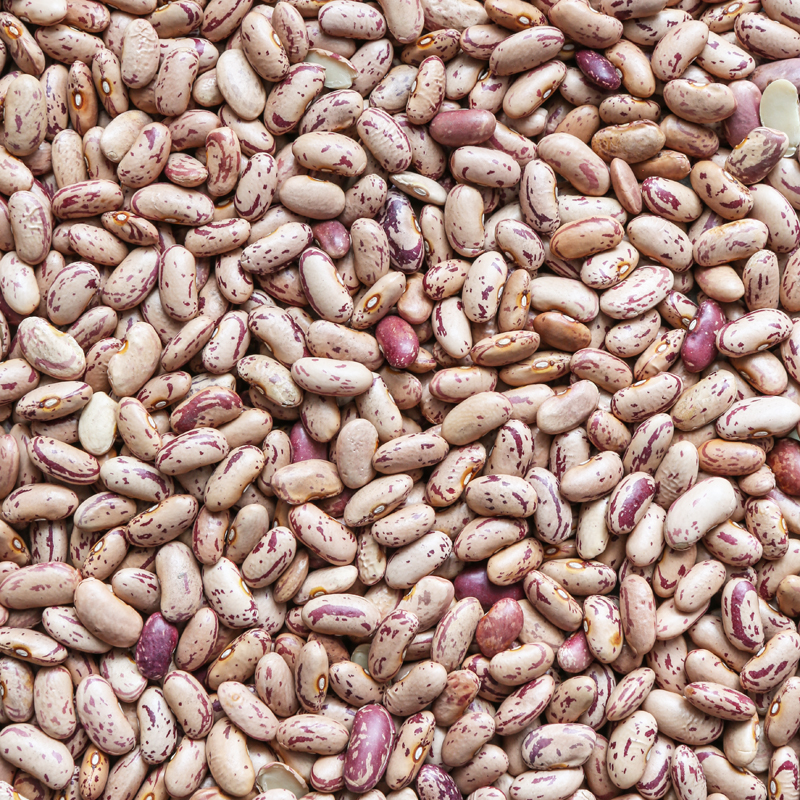 Borlotti bonen (bio) 25 kg baal