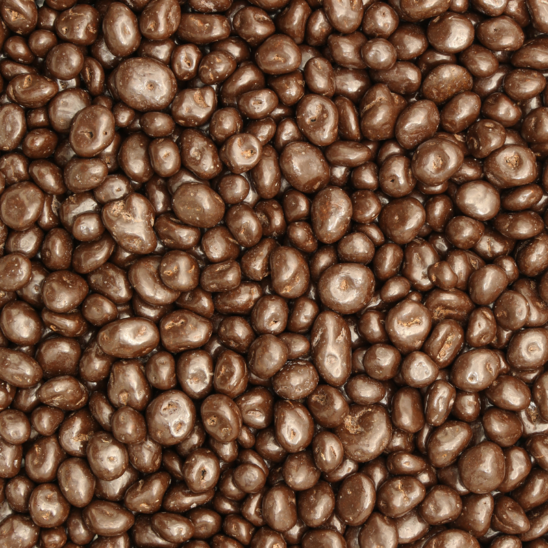 Chocolade Rozijnen Puur 5 kg doos