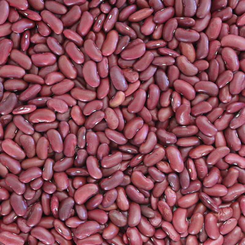 Kidneybonen (bio) 25 kg baal