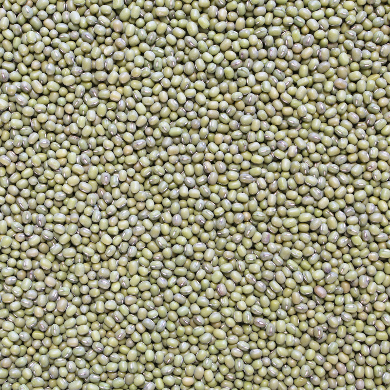 Mungbonen (bio) 25 kg baal