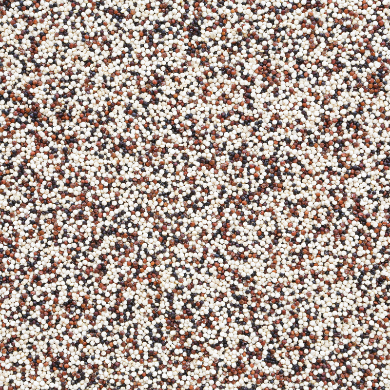Quinoa TRICOLOR 25 kg baal