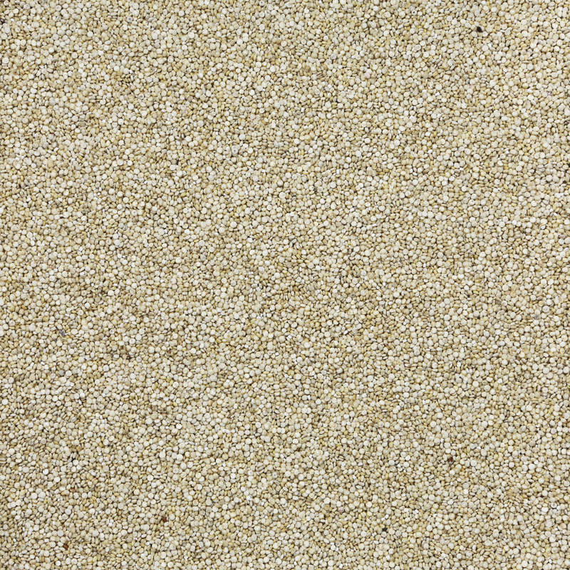 Quinoa wit (bio) 25 kg baal