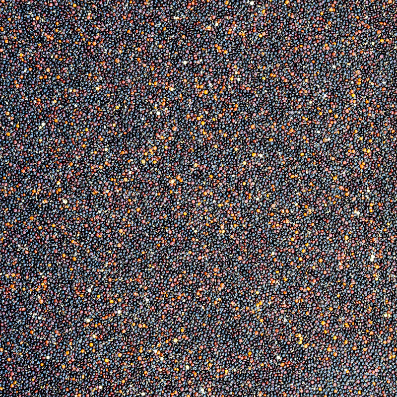 Quinoa zwart (bio) 25 kg baal